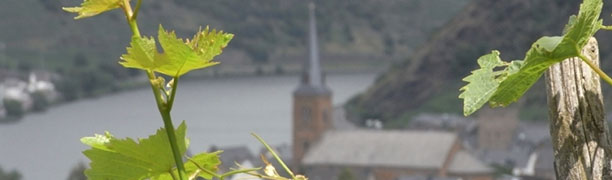 Übernachtung an der Mosel