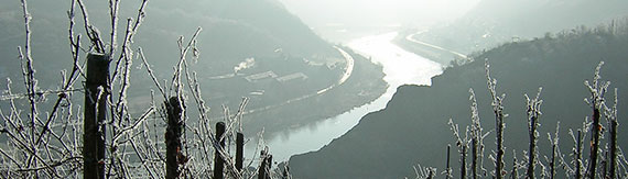 Privatkoch Jean-Pierre Marais kocht ein Gänsemenü